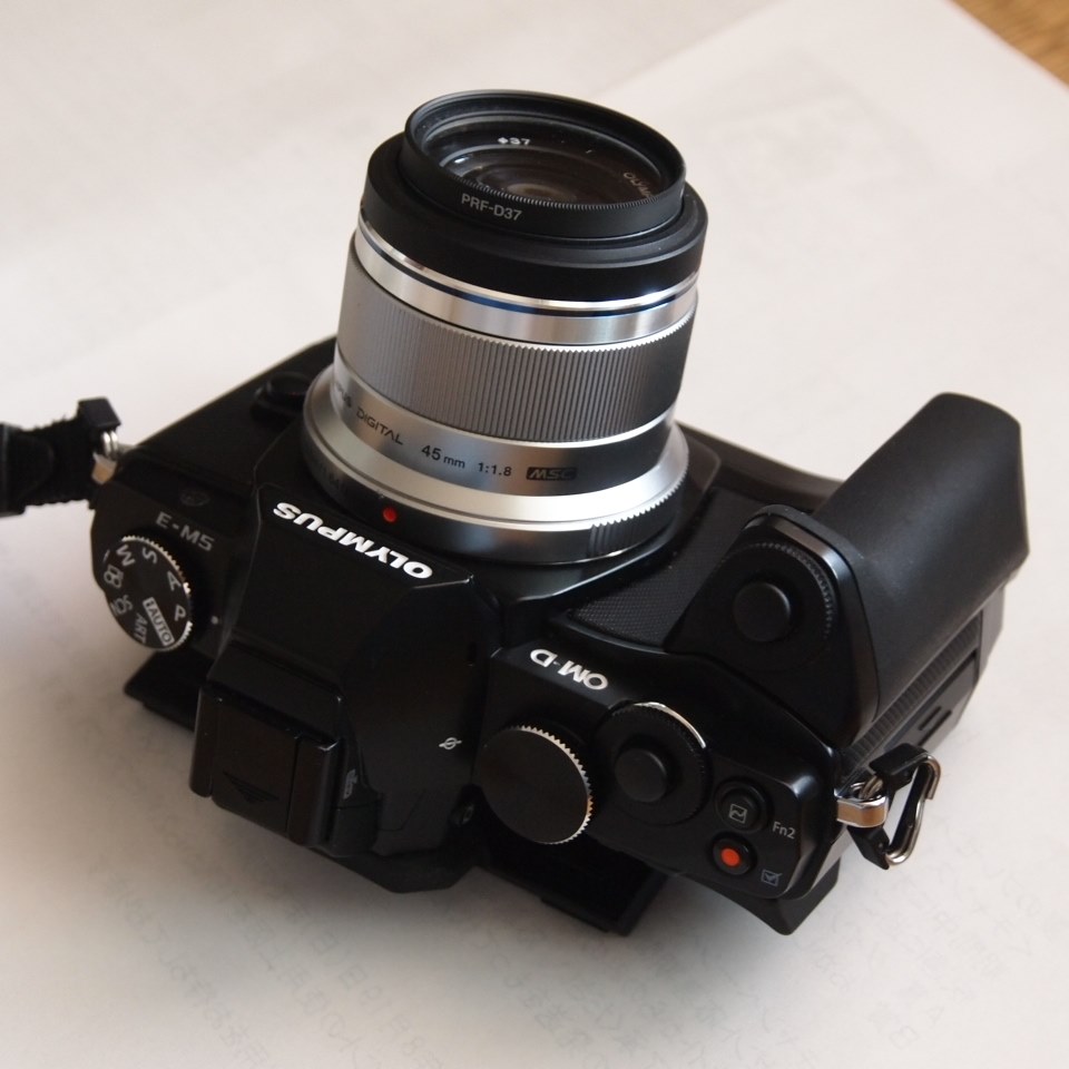 オリンパス E-M5 Mark II レビュー｜OM-Dシリーズあなたなら