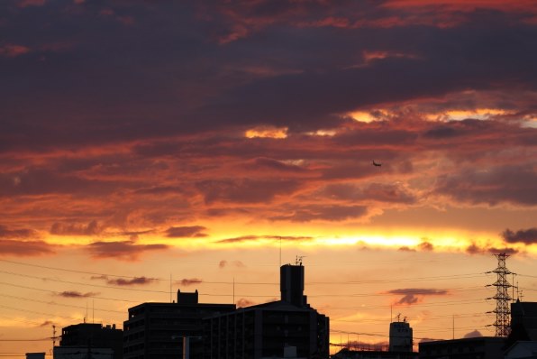 Eos全機種 みんなで写真を見せあおう Part35 クチコミ掲示板 価格 Com