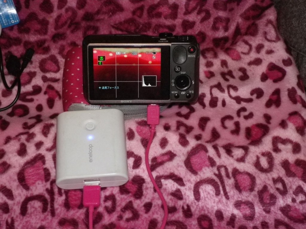 電池に関しては最高点をはるかに超えてるのではないでしょうか