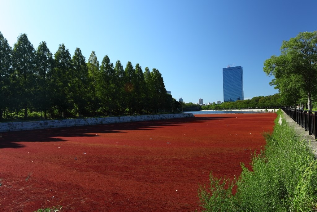 突然の夏空』 CANON EF17-40mm F4L USM のクチコミ掲示板 - 価格.com