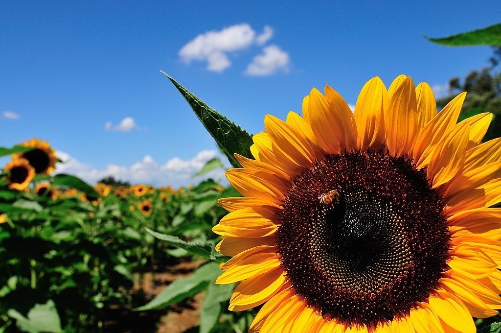 D300に相性の良い超広角レンズ』 ニコン D300 ボディ のクチコミ