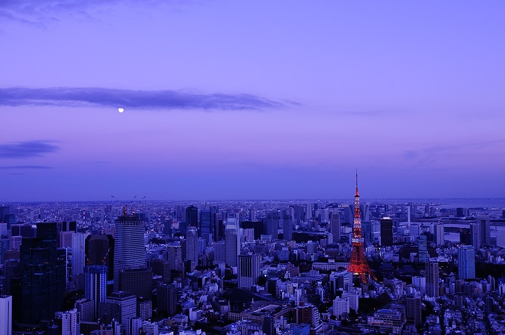 D300に相性の良い超広角レンズ』 ニコン D300 ボディ のクチコミ掲示板