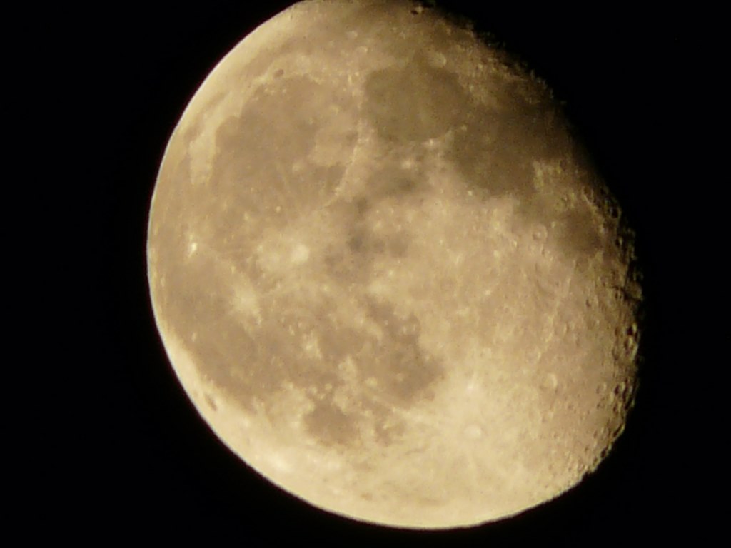 月見月 桜満月T Sakura full moon T-shirts KJ-02024 | 喜人公式