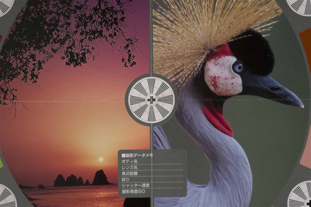 45-200との比較』 パナソニック LUMIX G X VARIO PZ 45-175mm/F4 45-200との比較』 パナソニック LUMIX G X VARIO PZ 45-175mm/F4
