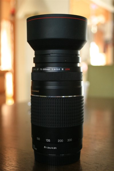 CANON EF75-300mm F4-5.6 III USM投稿画像・動画 - 価格.com