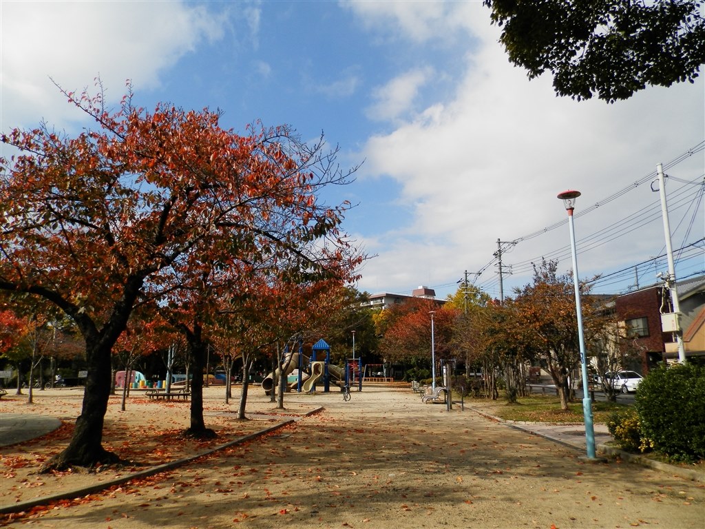 画質はこんな感じです』 オリンパス OLYMPUS SP-620UZ の