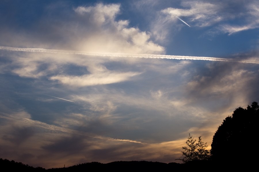 背景が美しい❤️SONY DT 35mm F1.8 SAM ❤️単焦点 背景が美しい❤️SONY DT 35mm F1.8 SAM ❤️単焦点 きまぐれ作例投稿。』