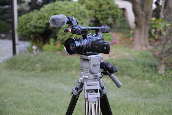CANON XF100投稿画像・動画 - 価格.com