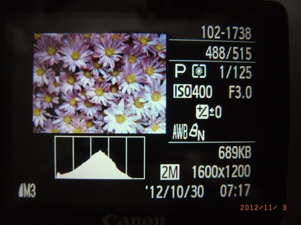 CANON PowerShot A495投稿画像・動画 - 価格.com