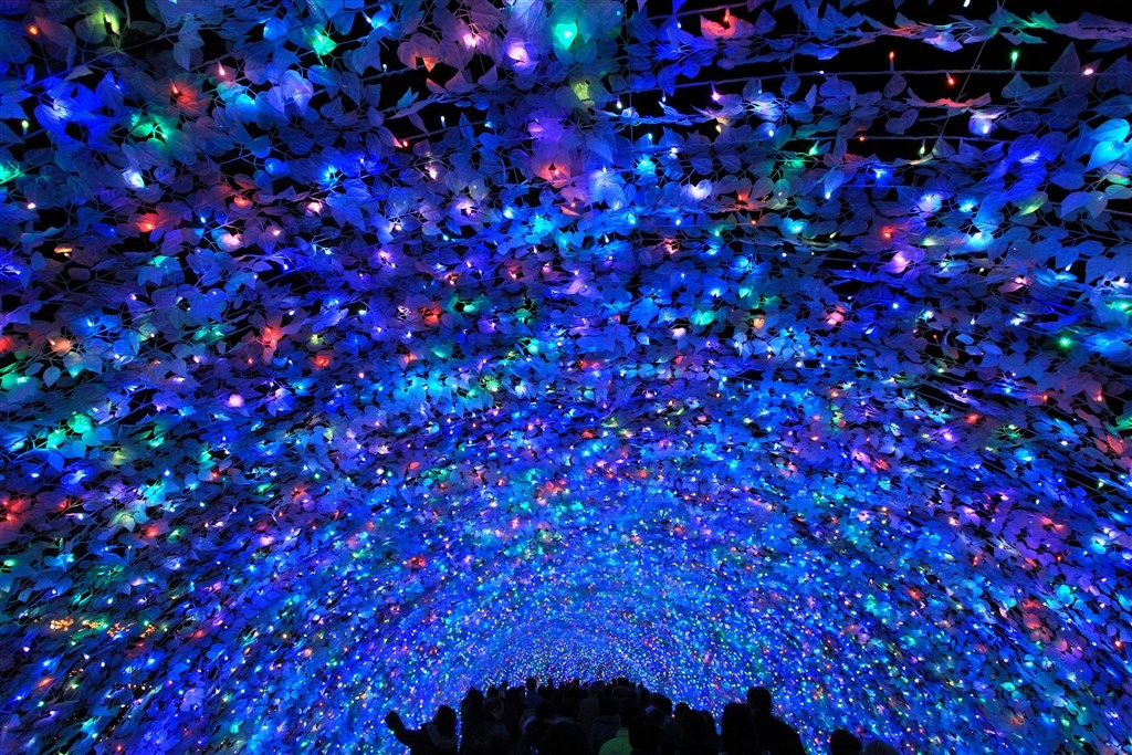 冬のイルミ撮影に❣️ Canon EOS 60D タムロン高倍率ズーム 冬のイルミ撮影に❣️ Canon EOS 60D タムロン高倍率ズーム