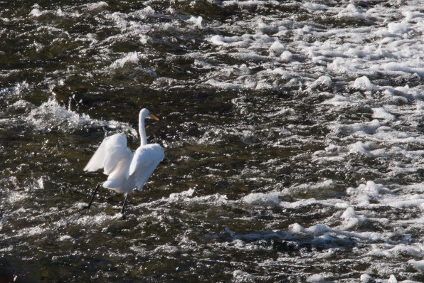 生フィルム】となりのトトロ〈327〉3コマ/劇場版アニメ映画/35mm