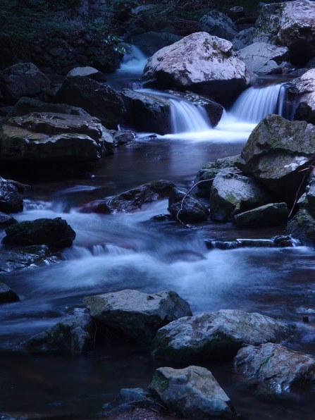 ニコン COOLPIX S5100 [スマートブラック]投稿画像・動画 - 価格.com