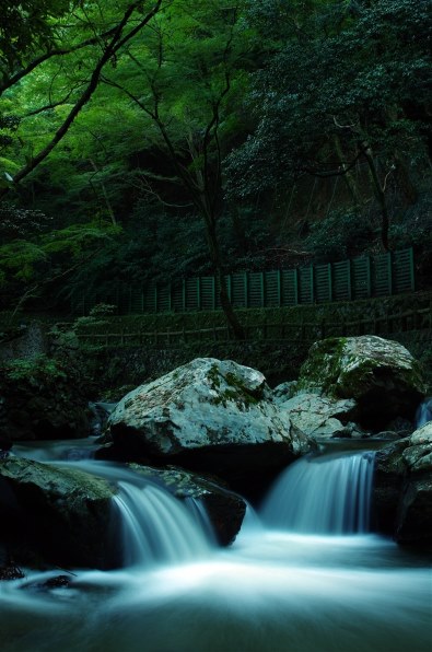 ニコン COOLPIX S5100 [スマートブラック]投稿画像・動画 - 価格.com