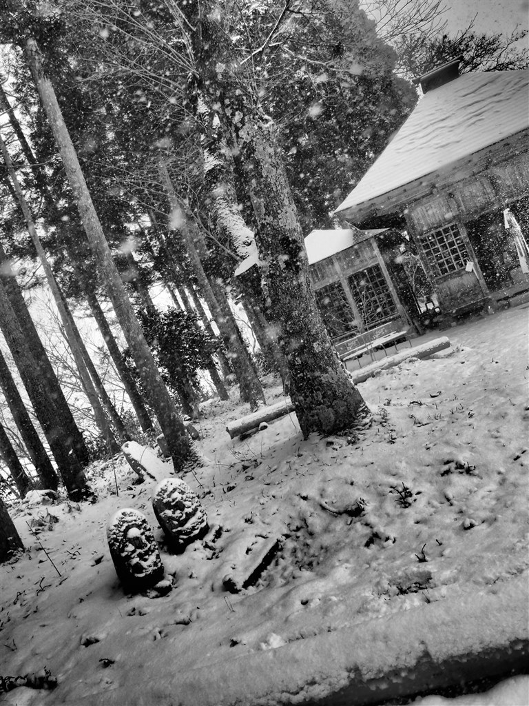 XZ-1、モノクロの可能性』 オリンパス OLYMPUS XZ-1 のクチコミ掲示板