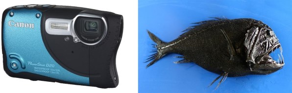 CANON PowerShot D20投稿画像・動画 - 価格.com