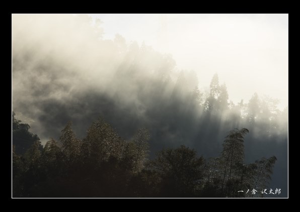 真作】絵画水島裕日本画10号神秘的な渓谷と静寂の水面力強い自然V21