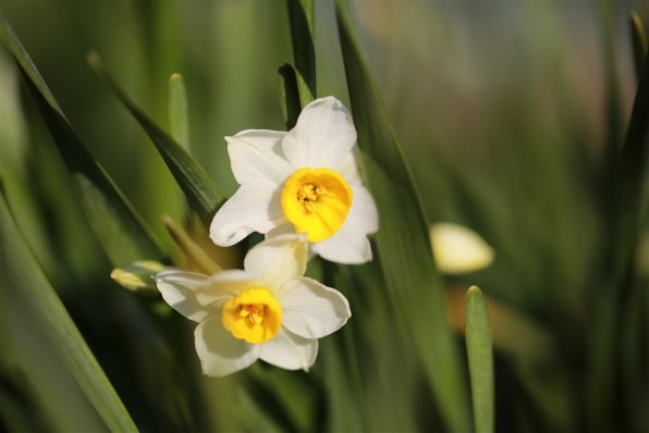 Eos全機種 みんなで写真を見せあおう Part41 クチコミ掲示板 価格 Com