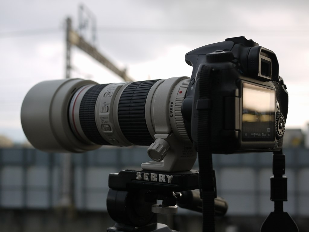 フード同色でLデビュー』 CANON EF70-200mm F4L IS USM の フード同色でLデビュー』 CANON EF70-200mm F4L IS USM の