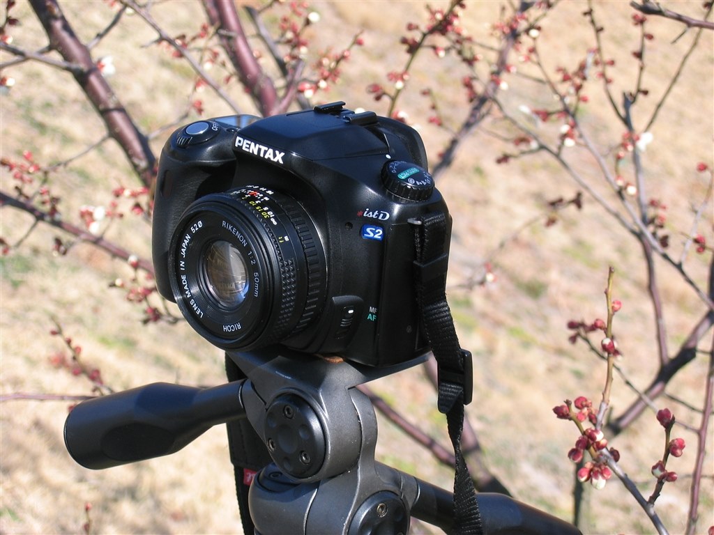 いまさらながら購入』 ペンタックス PENTAX *ist DS2 ボディ の