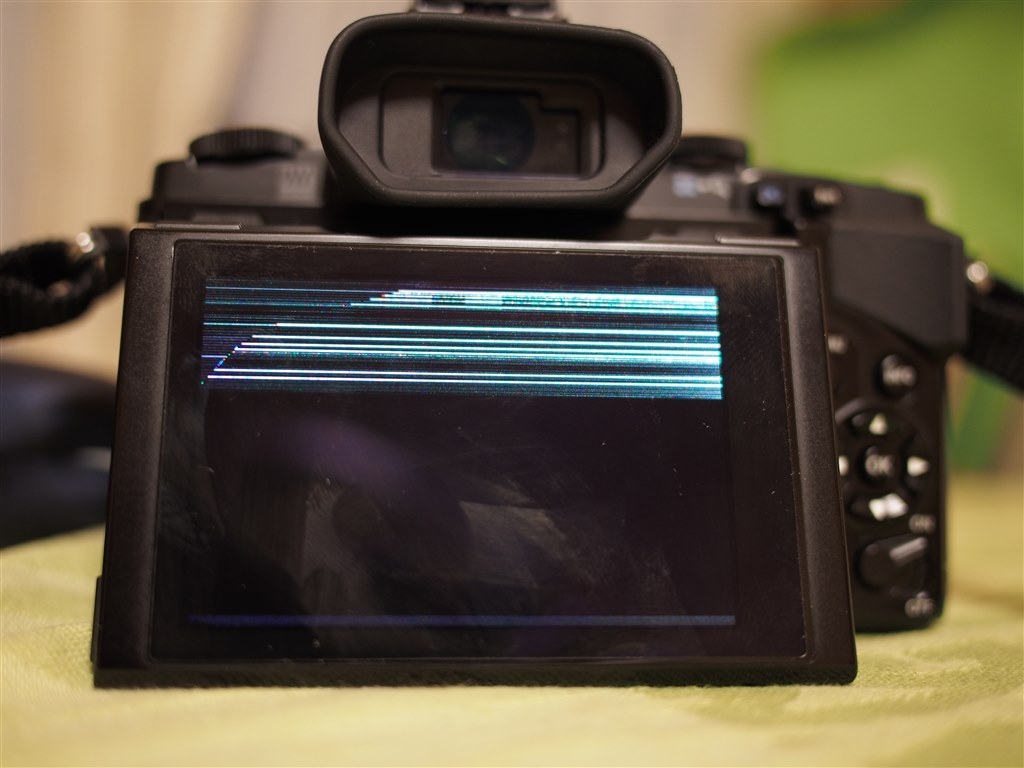 やってしまいました』 オリンパス OLYMPUS OM-D E-M5 ダブルズーム