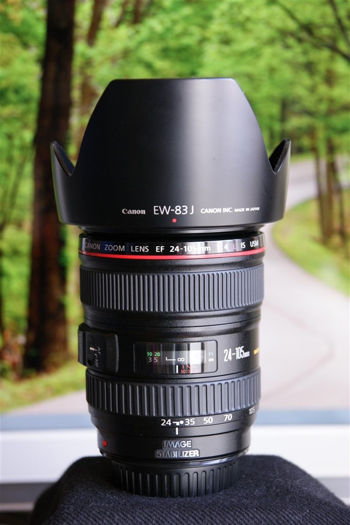 オープニングセール】 #EE13 Canon EF 24-105mm F4L IS USM フード付き