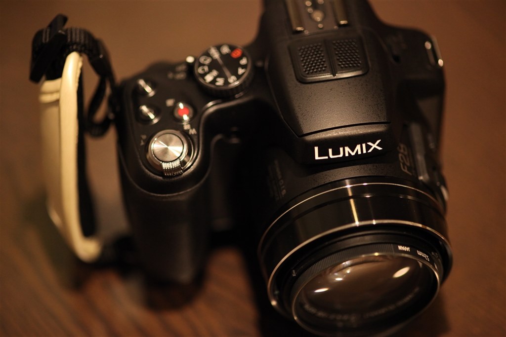 ビデオカメラの代わりに♪』 パナソニック LUMIX DMC-FZ200 のクチコミ 