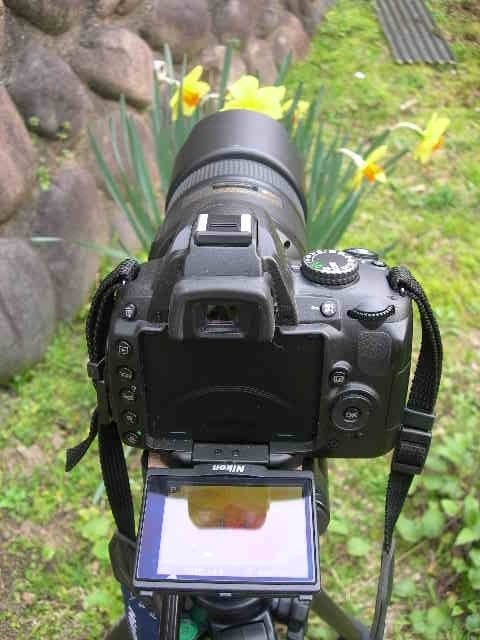 【使用感少なめ】Nikon D5000　スマホ転送　自動り　動画　バリアングル 美品コンディション】Nikon D5000 スマホ転送 自撮り 動画 旅行 - メルカリ
