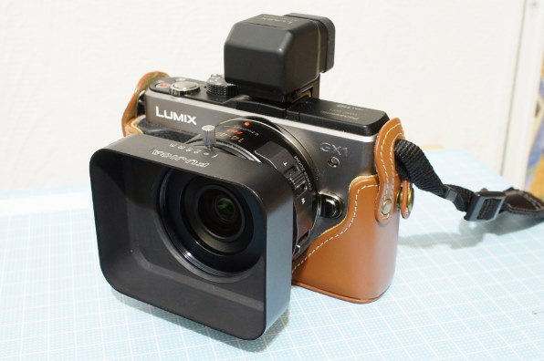 フード沼(笑)』 パナソニック LUMIX DMC-GX1X レンズキット のクチコミ