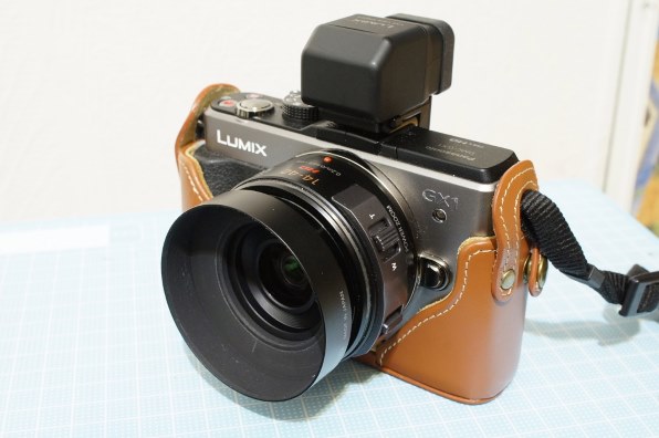 フード沼(笑)』 パナソニック LUMIX DMC-GX1X レンズキット のクチコミ