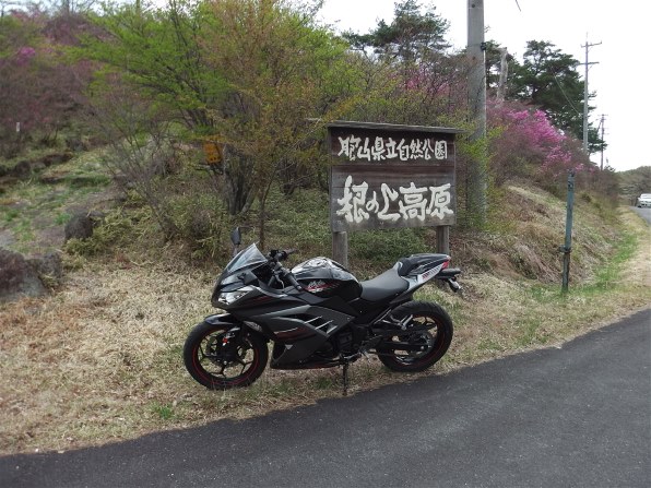 パナソニック HX-WA20-H [サンターングレー]で撮影された写真 (掲示板