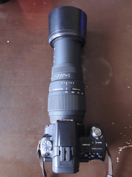 アップグレード効果はいかに？』 SONY DT 55-300mm F4.5-5.6 SAM