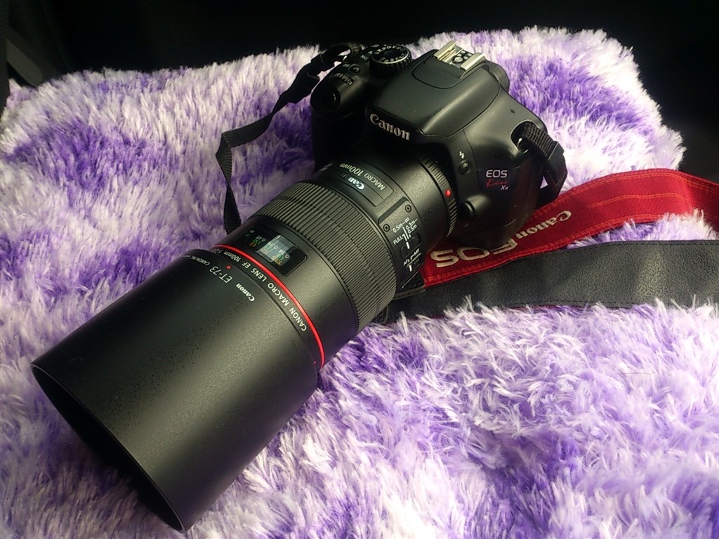 これも１つの選択なんでしょうか？』 CANON EOS 5D Mark III ボディ の