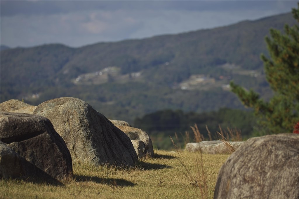 ta0719/11/52　　TAMRON 　SP 17－50㎜F/28　一眼レンズ ズバリ！タムロンとシグマどっちが良いと思いますか？』 TAMRON SP AF