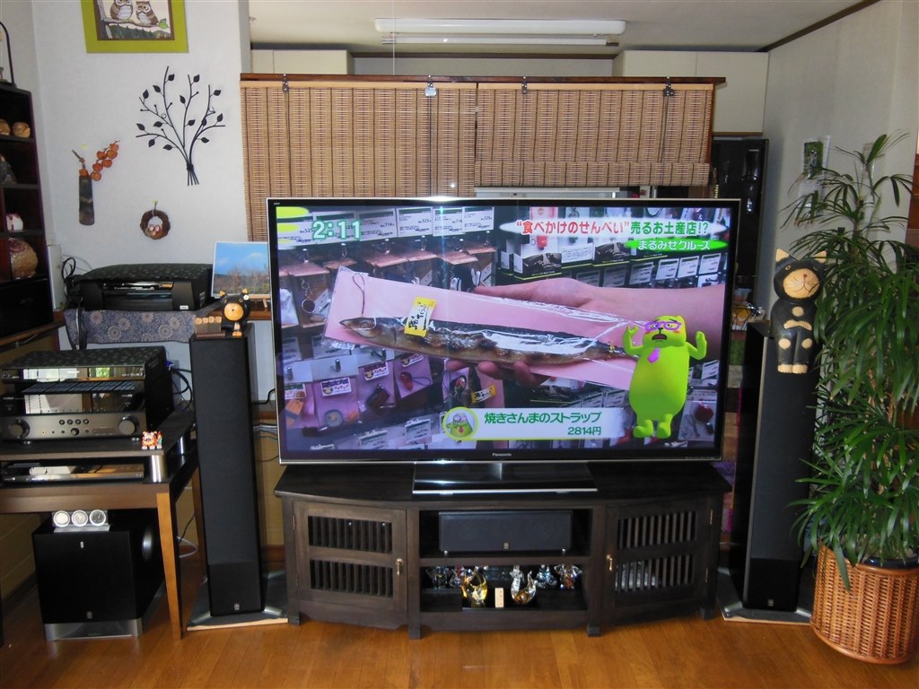 Panasonic 65インチ プラズマテレビ TH-P65ZT5 黒が綺麗
