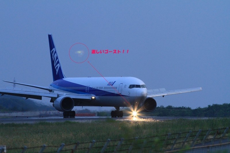 EF300 IS F4の強烈なゴースト』 CANON EF300mm F4L IS USM の EF300 IS F4の強烈なゴースト』 CANON EF300mm F4L IS USM の