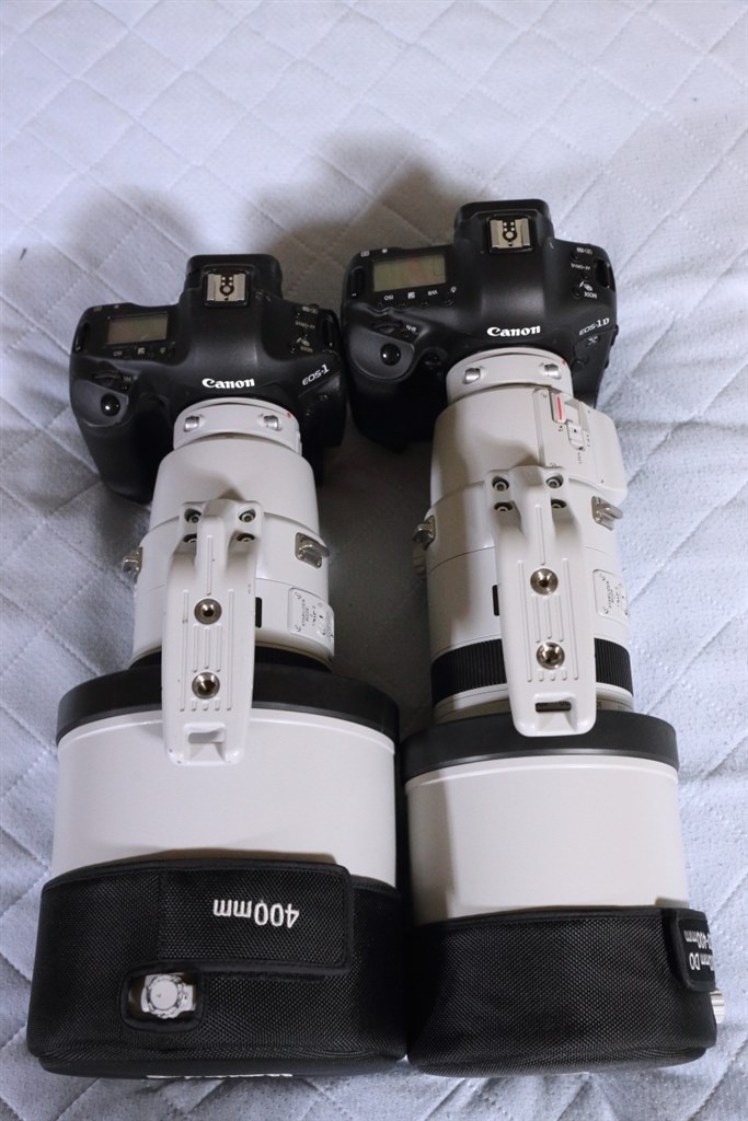 本当に綺麗です】Canon EF 200-400mm f/4L IS 引っかかっ USM