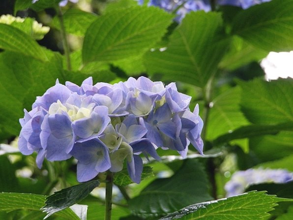 オリンパス OLYMPUS SP-610UZ投稿画像・動画 - 価格.com