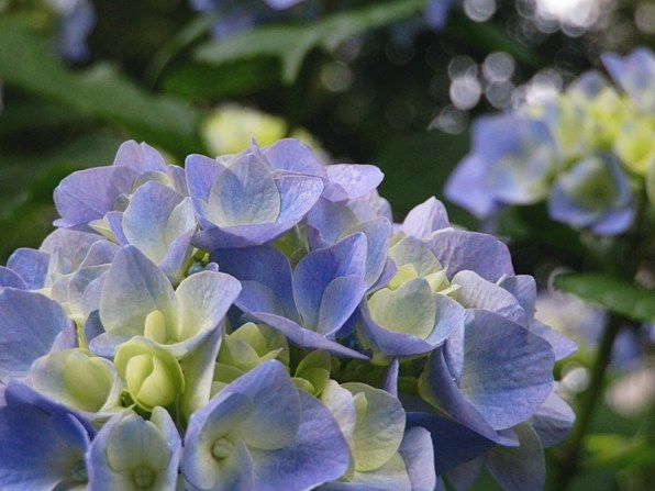 【美品】Olympus SP-610UZ 動作OK!c25085 美品】Olympus SP-610UZ 動作OK!c25085