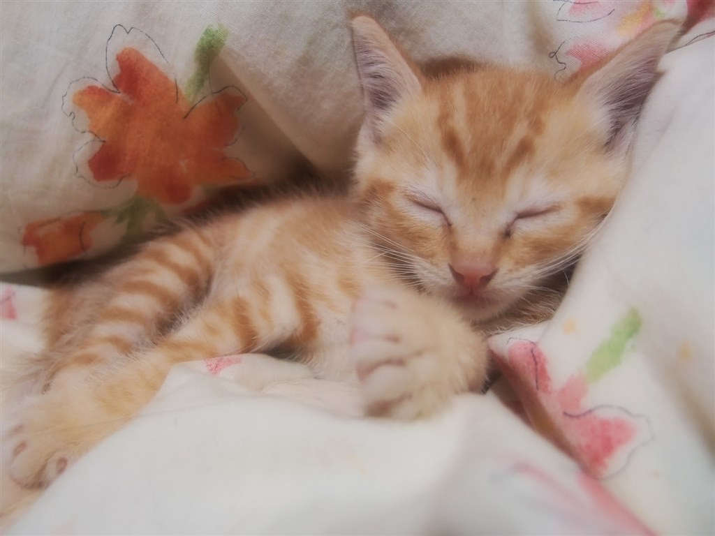 これ良いですよ！』 オリンパス OLYMPUS XZ-1 のクチコミ掲示板 - 価格.com