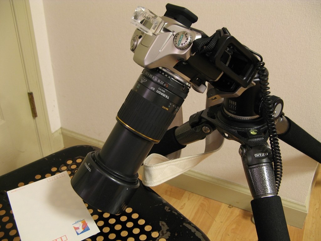 虫や鳥の写真をとりたい。』 ペンタックス PENTAX K-30 ダブル