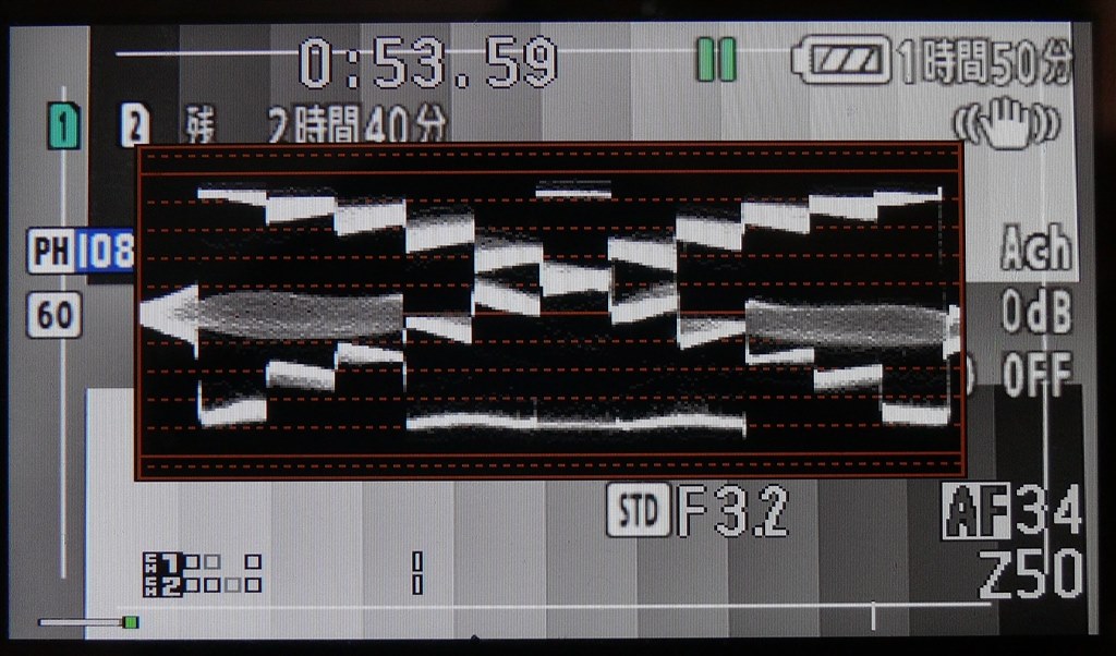 グレイスケールを波形モニターで見る』 パナソニック AG-AC160A の