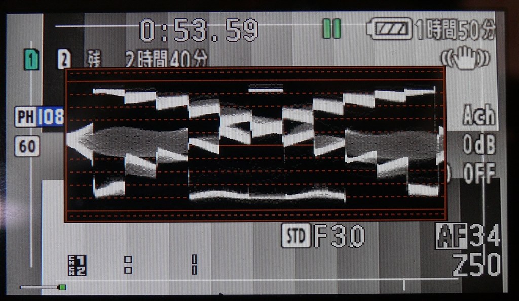 グレイスケールを波形モニターで見る』 パナソニック AG-AC160A の