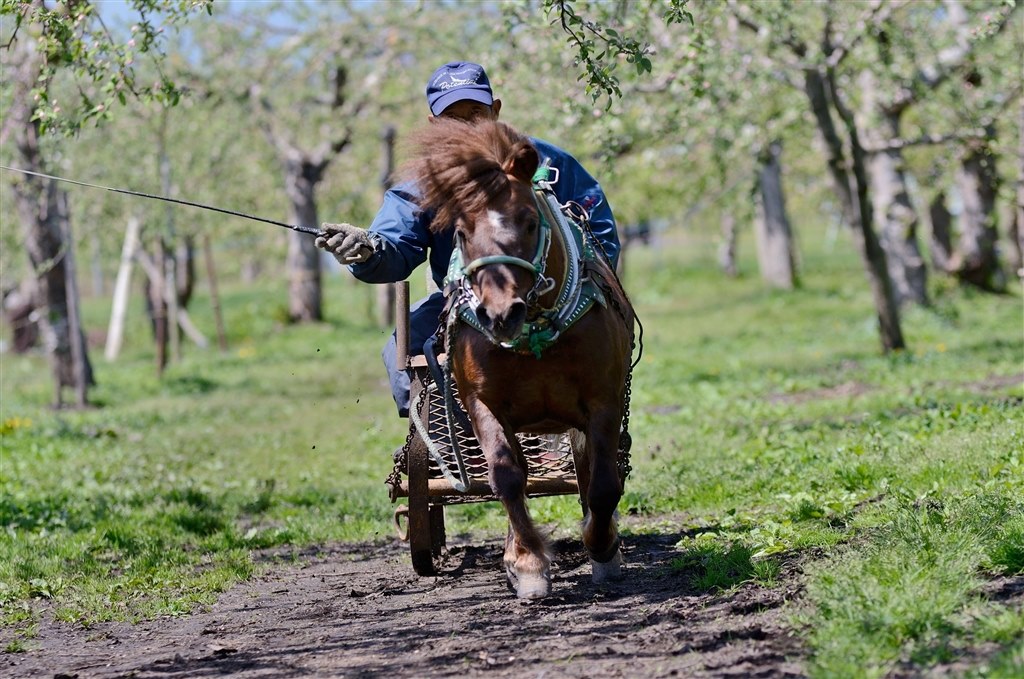 ◾️セール◾️ニコン D600ボディ 動作品 フルサイズ ジャンク FX  