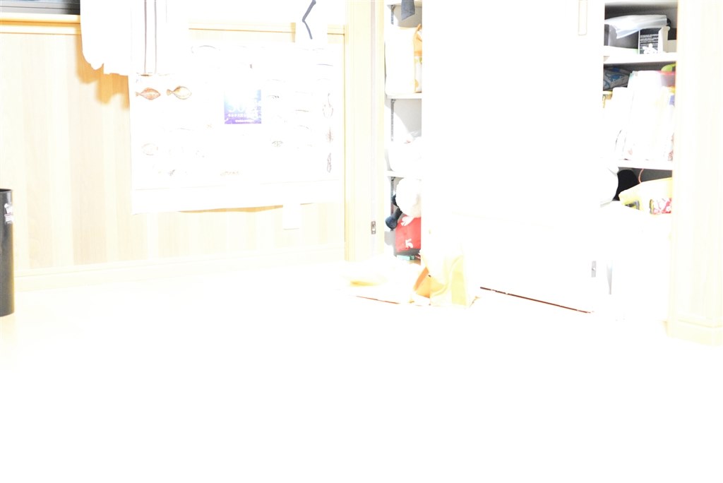 フラッシュ撮影時の露出補正について ニコン D7100 ボディ のクチコミ掲示板 価格 Com