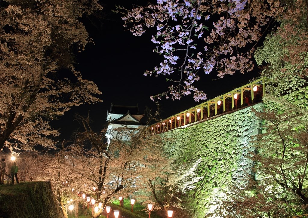 eos60dでの花火撮影及び手持ち夜景』 CANON EOS 60D ボディ のクチコミ