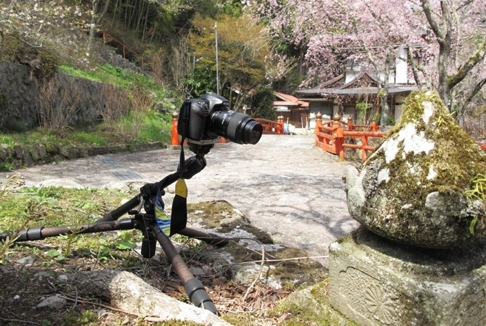 マクロ撮影時の三脚と雲台の購入相談』 BENRO C2980T のクチコミ掲示板