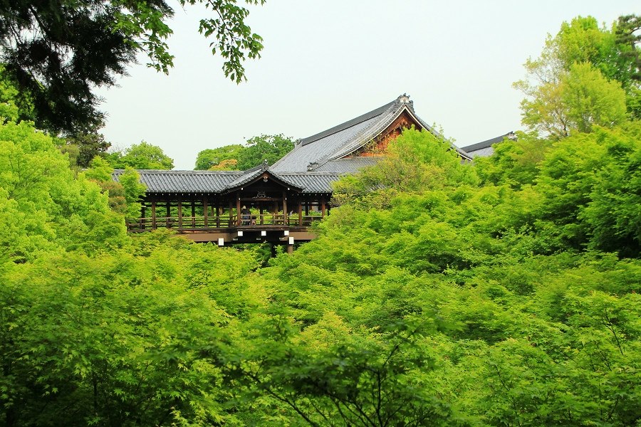緑の作例』 CANON EOS Kiss X4 ダブルズームキット のクチコミ掲示板