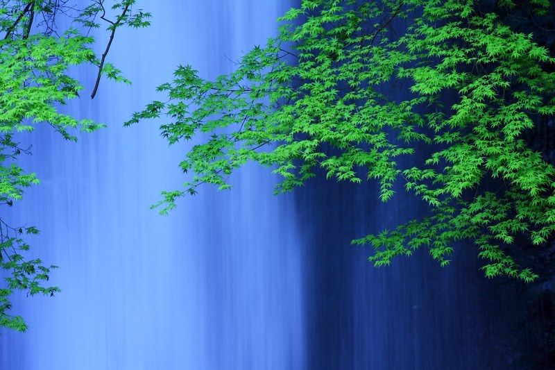 緑の作例』 CANON EOS Kiss X4 ダブルズームキット のクチコミ掲示板