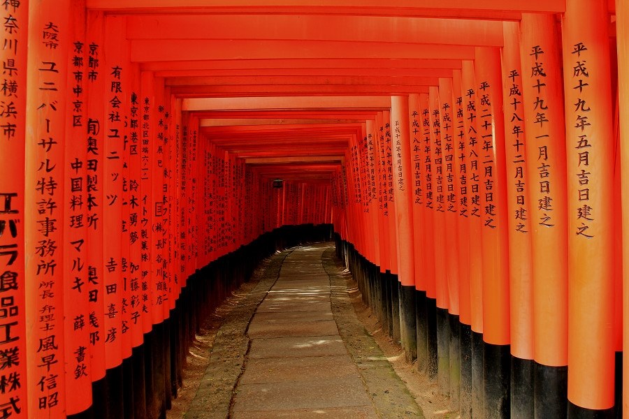 緑の作例』 CANON EOS Kiss X4 ダブルズームキット のクチコミ掲示板