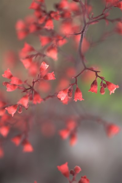 Part15です もっと新緑 もっとお花だあ クチコミ掲示板 価格 Com